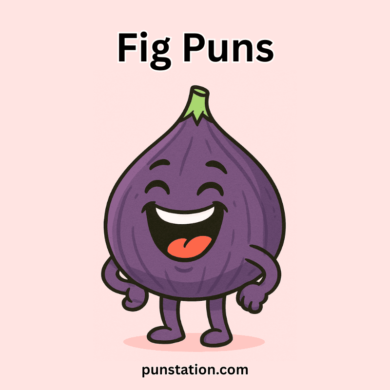 Cartoon fig laughing under the text 'fig puns'
