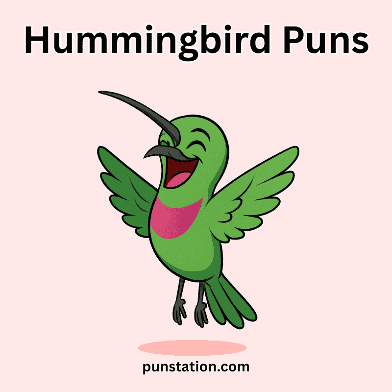 Cartoon Hummingbird Flying and Laugh in light pink background