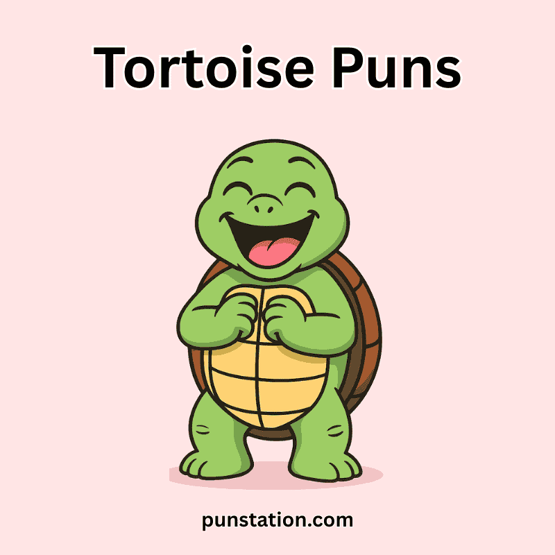 Tortoise Cartoon Laughing at Tortoise Puns