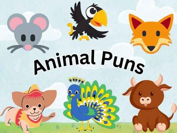 Illustration representing animal puns