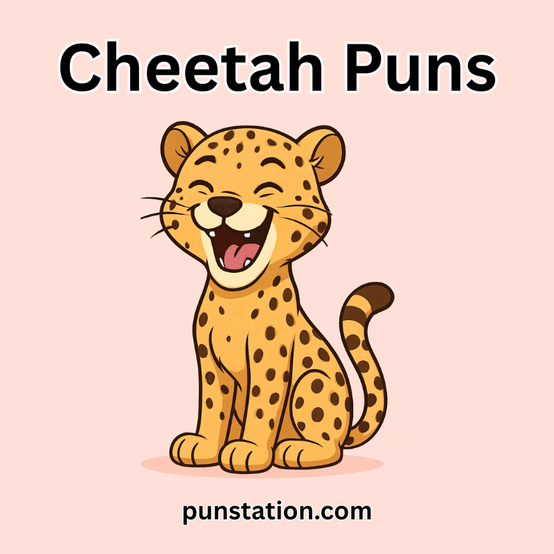 Laughing cheetah enjoying funny cheetah puns and jokes.