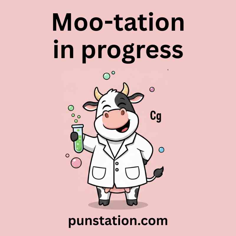 Cow Science Puns