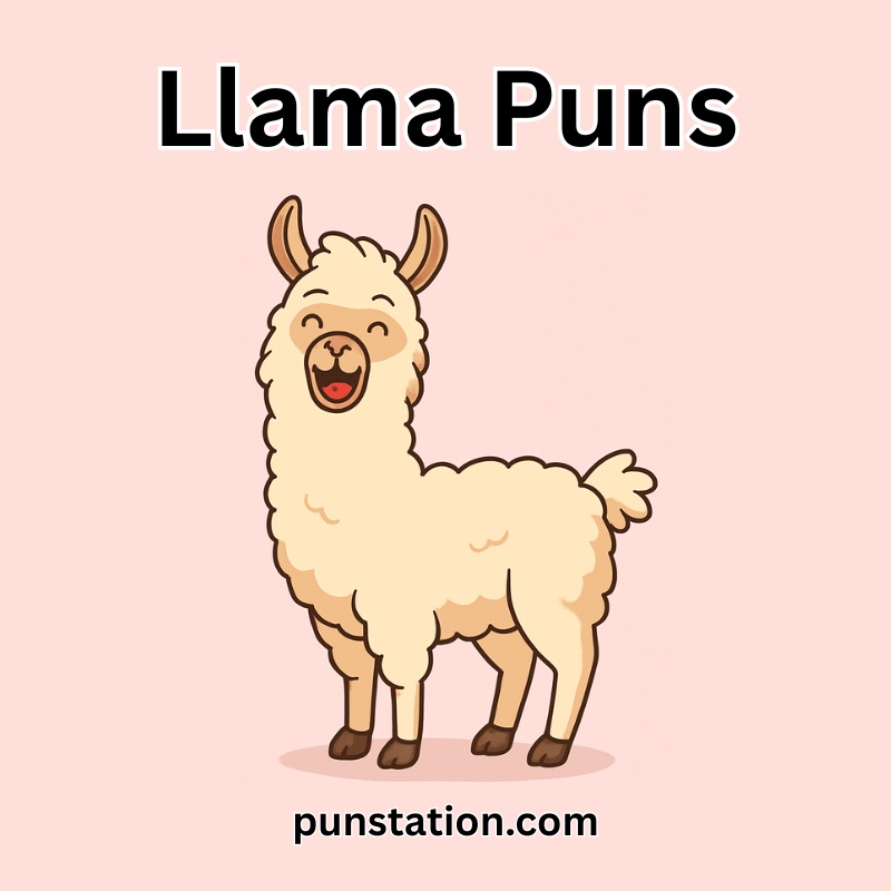 Cartoon llama laghing at pink background for Llama Puns