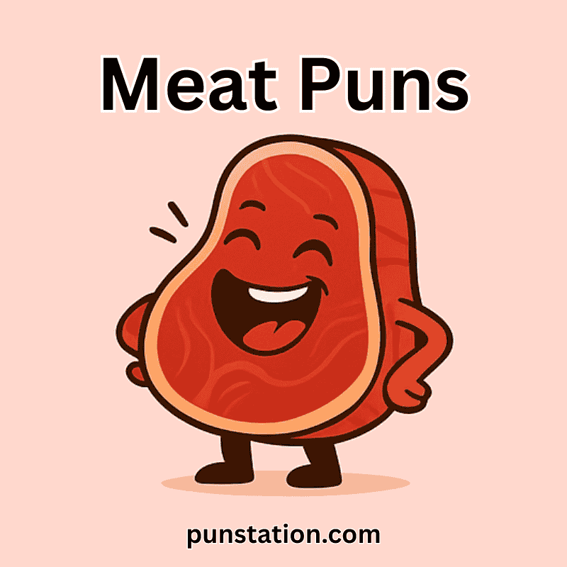 A pieace of meat cartoon laughing under text meat puns