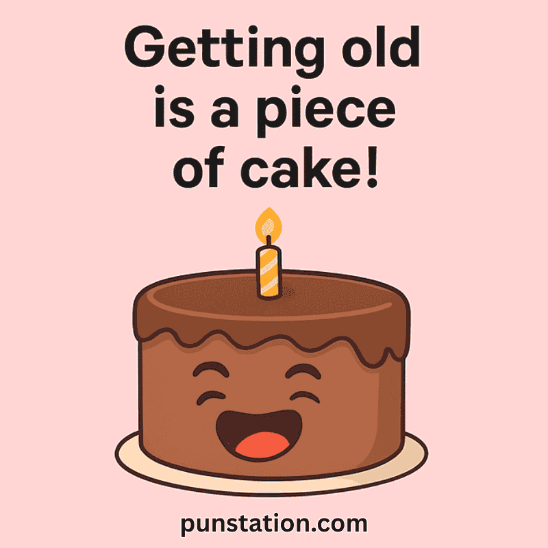 Short Cake Pun WIth Laughing chocolate Cake