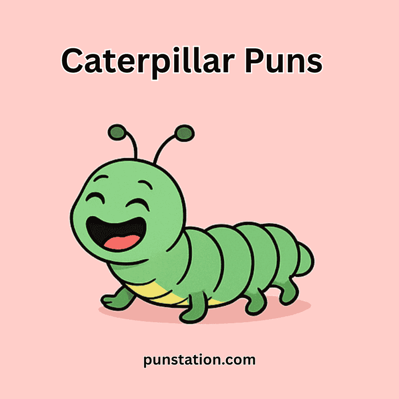 Caterpillar cartoon laugh and enjoy caterpillar puns