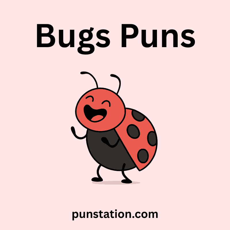 Funny bug cartoon laughing under text bugs pun