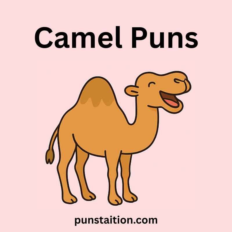 Camel Cartoon Laughing under text camel puns