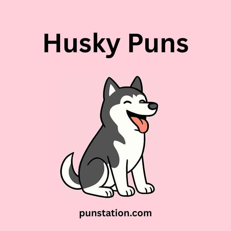 Husky cartoon sitting under text husky puns