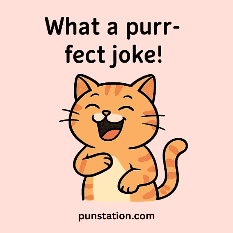 Cartoon Kitty Laughing Under funny kitty pun