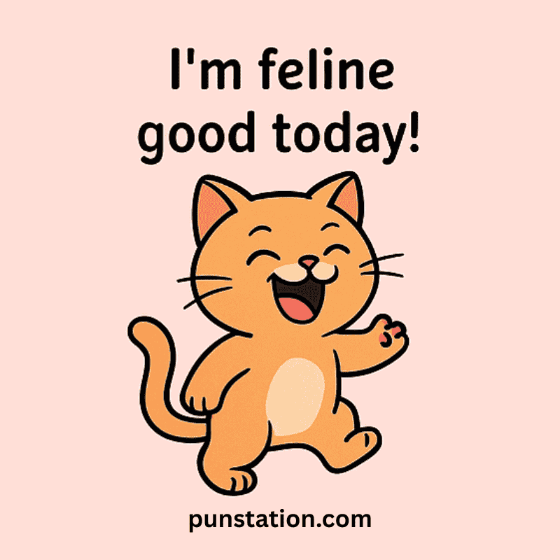 Kitty cartoon enjoying and happy with kitty pun caption