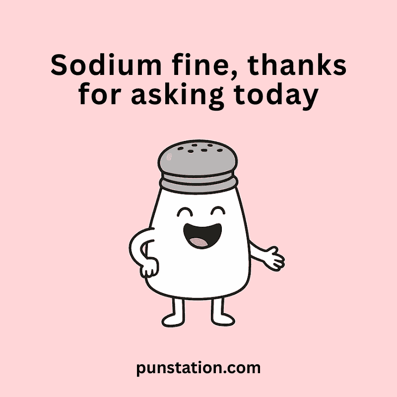 salt shaker cartoon is laughing with funny salt pun text