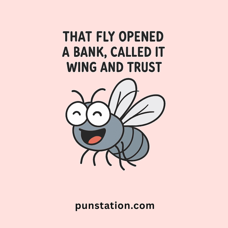 Fly cartoon laughing with funny pun short