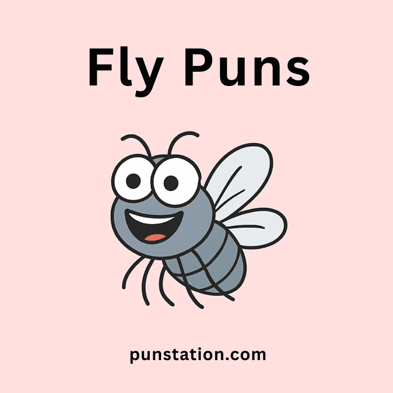 Fly cartoon laughing under text fly puns