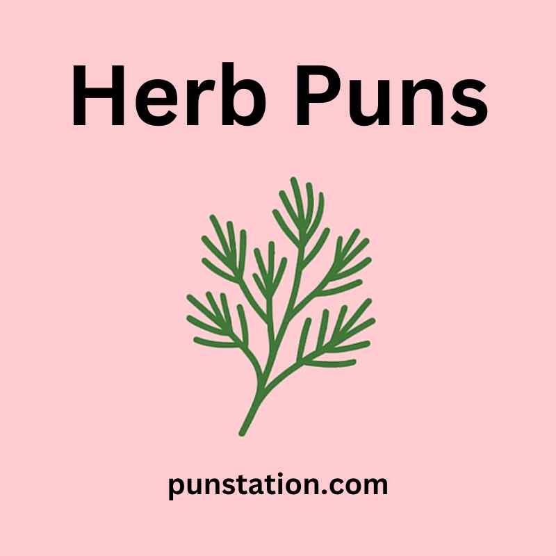 A Herb under text herb puns in light pink background
