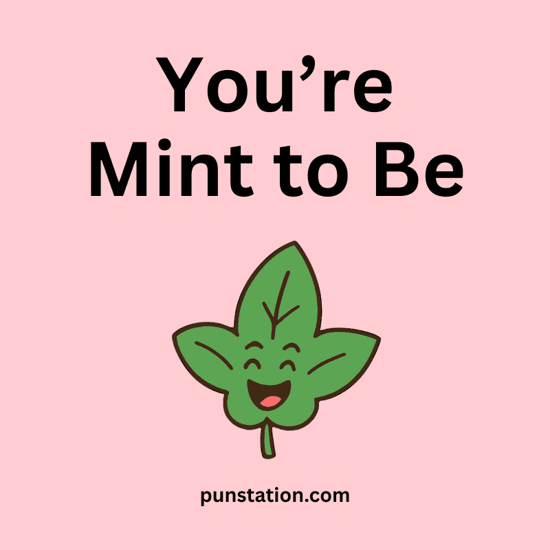 Basil leaf cartoon is laughing under short and funny pun