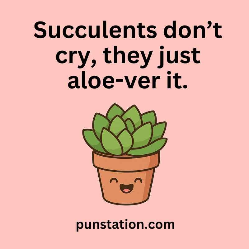 Succulent cartoon is laughing under one liner pun