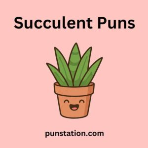 Succulent Puns and Jokes: 250+ Clever, Cute, and Prickly Plant Laughs