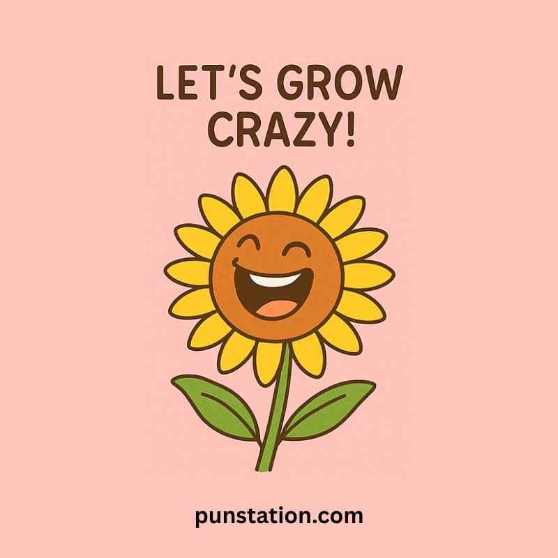 Sunflower cartoon is laughing under funny pun