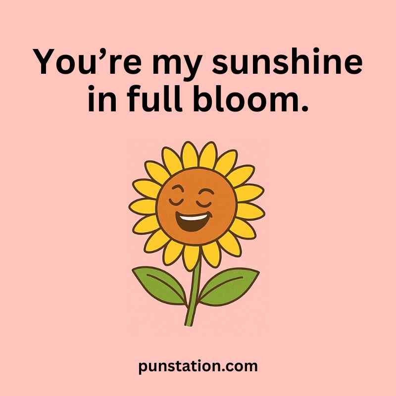 Sunflower cartoon is laughing under short pun