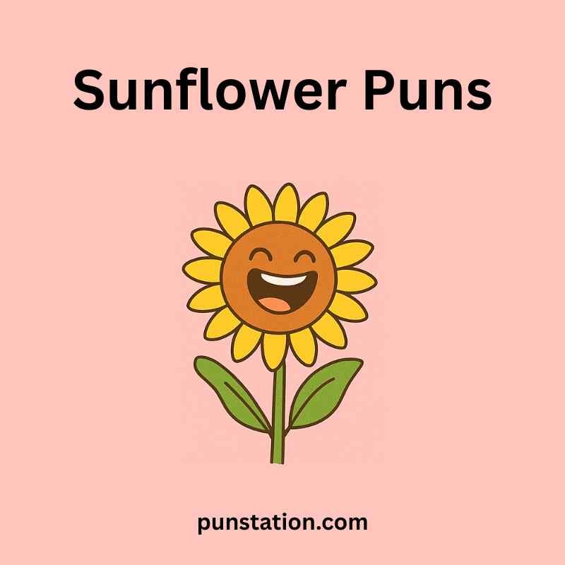 Sunflower cartoon is laughing with text sunflower puns