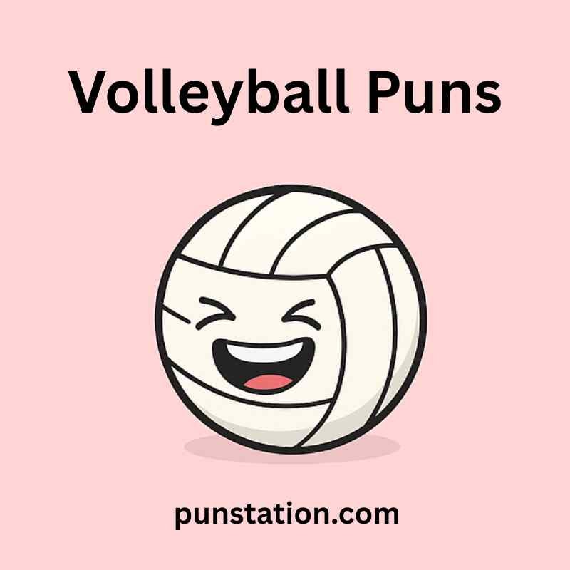 Volleyball cartoon is laughing under text volleyball puns