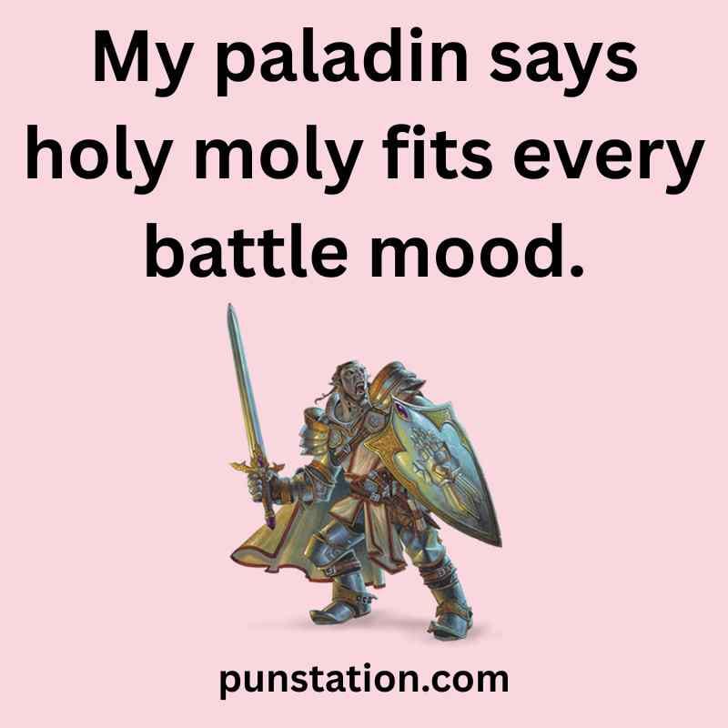 Paladin Funny Dnd Pun