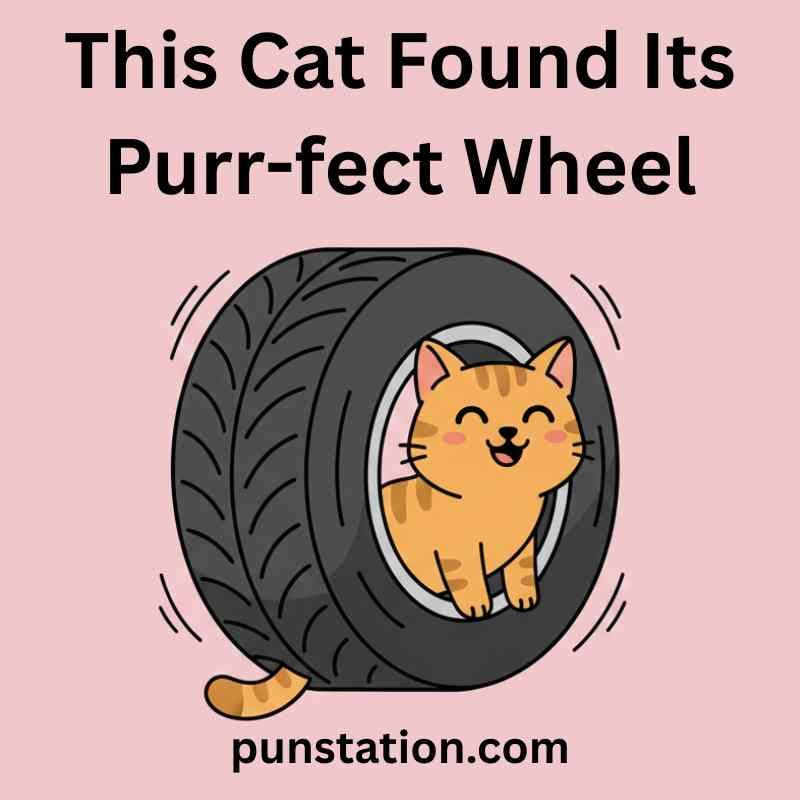 Cat Tire Puns