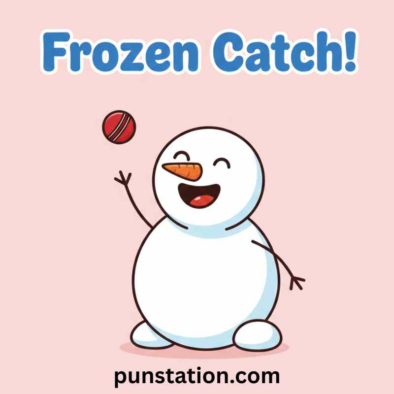 Christmas Cricket Pun