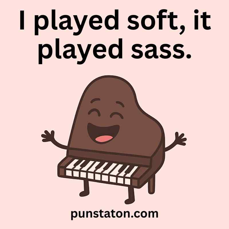 Funnies Piano Pun