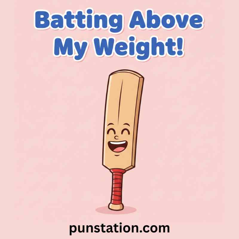 Funny Cricket Puns
