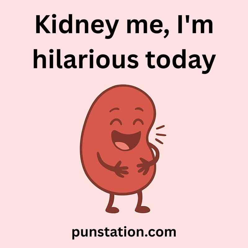 Kidney Puns One Liner
