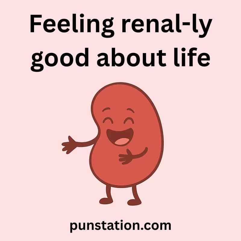 Kidney Funny Puns