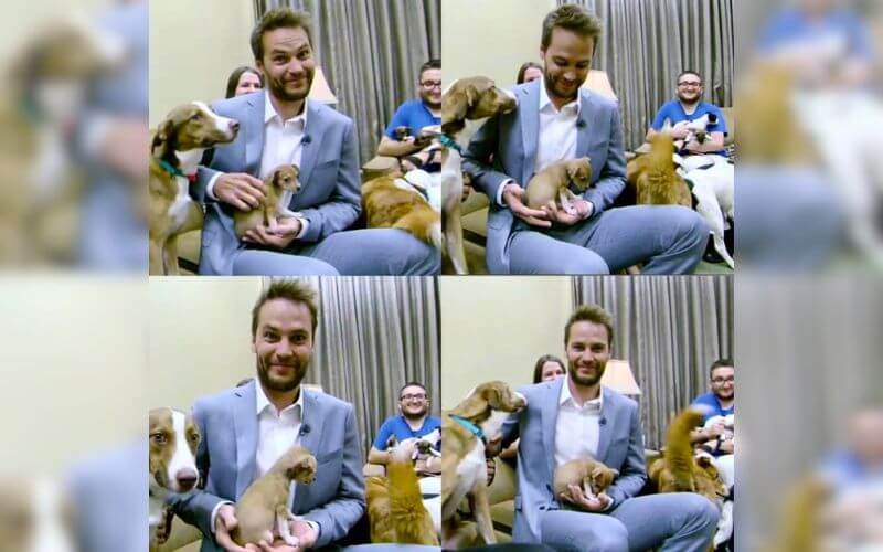 Career Impact on Love Life