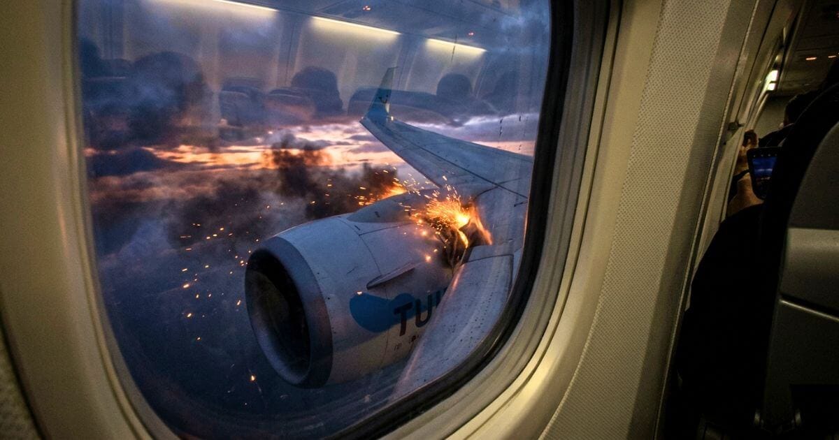 TUI Flight BY6754 Bird Strike Emergency