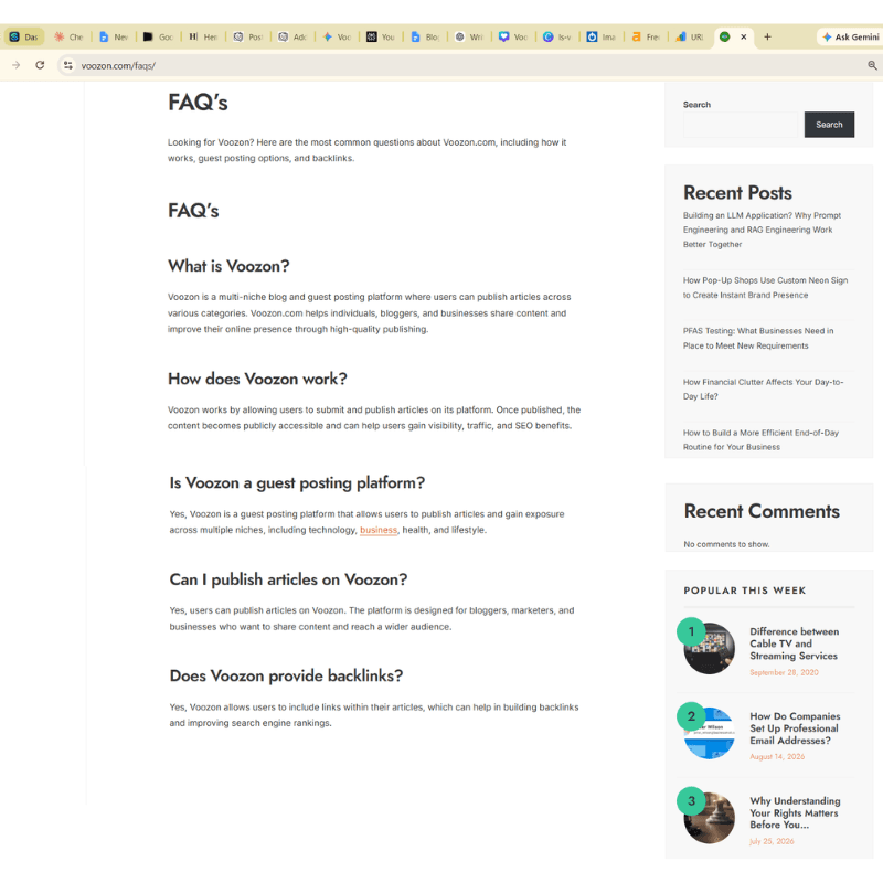 Voozon.com FAQ showing guest post and article link information