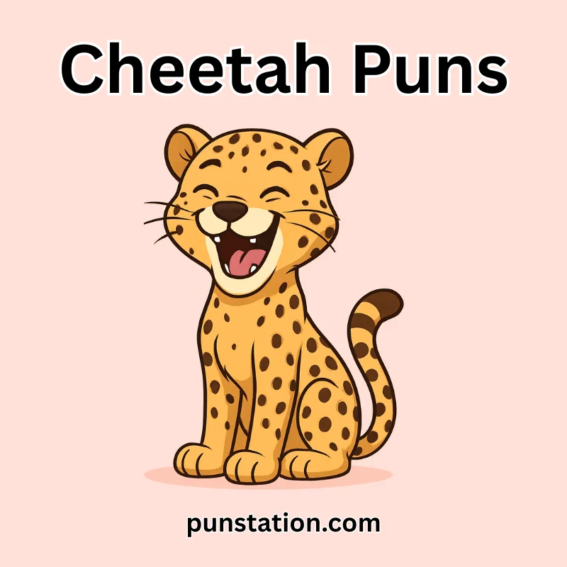 Laughing cheetah enjoying funny cheetah puns and jokes.