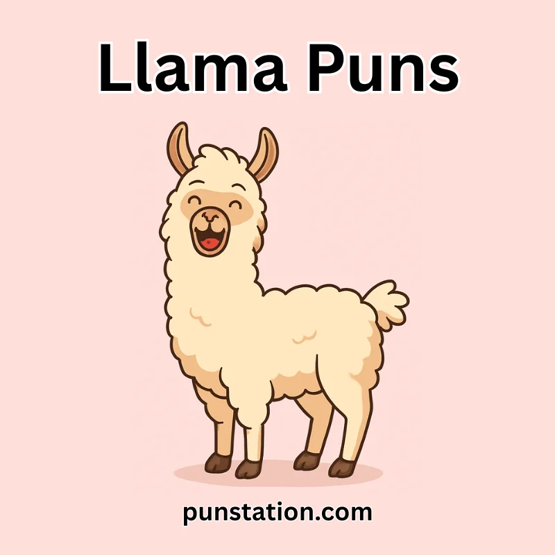 Cartoon llama laghing at pink background for Llama Puns
