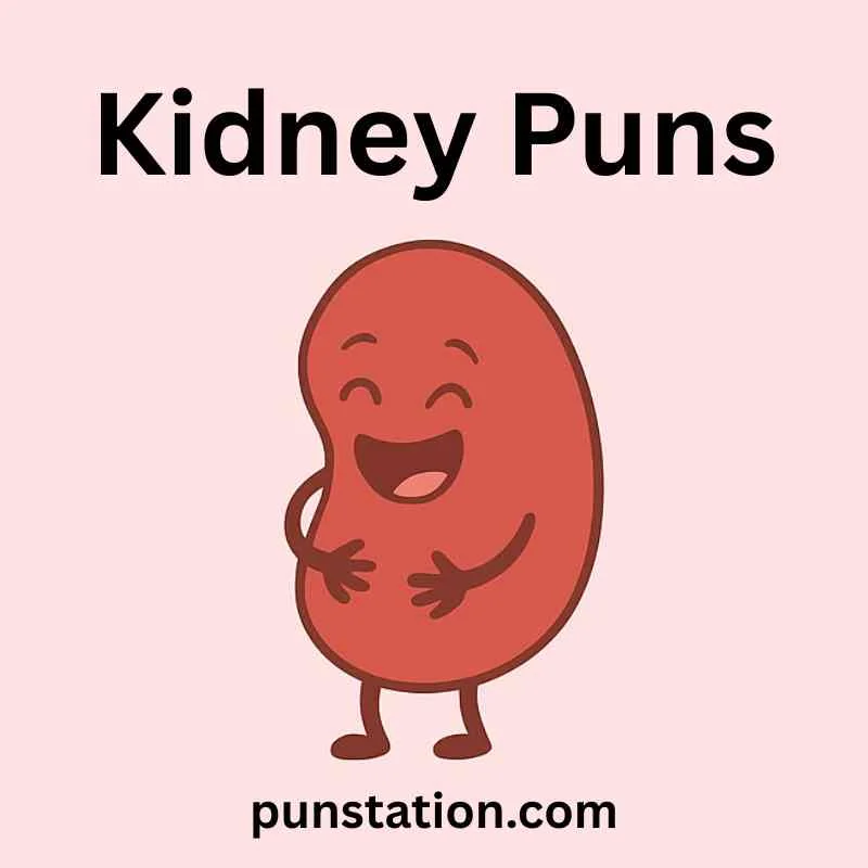 A cartoon of kidney is standing and laughing under text 'Kidney Puns'